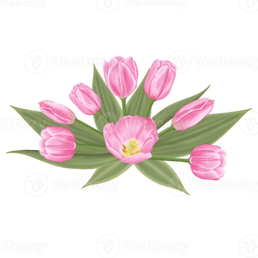 Hand-Drawn Pink Tulips - Spring Flower Illustration png