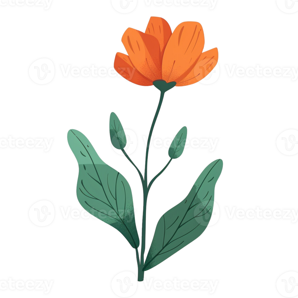 simple green leaves and orange flowers png