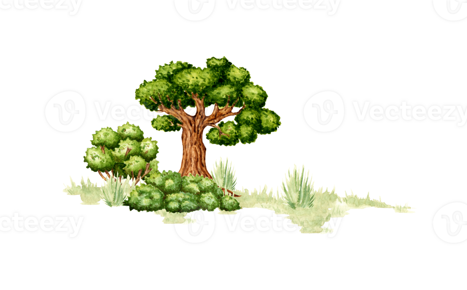 Watercolor illustration of a natural landscape element. Forest wildlife scene with green grass, old oak tree and bushes. For composing compositions on the theme of forest, tourism, travel. png