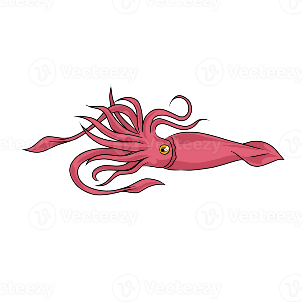 Illustration of a pink squid png