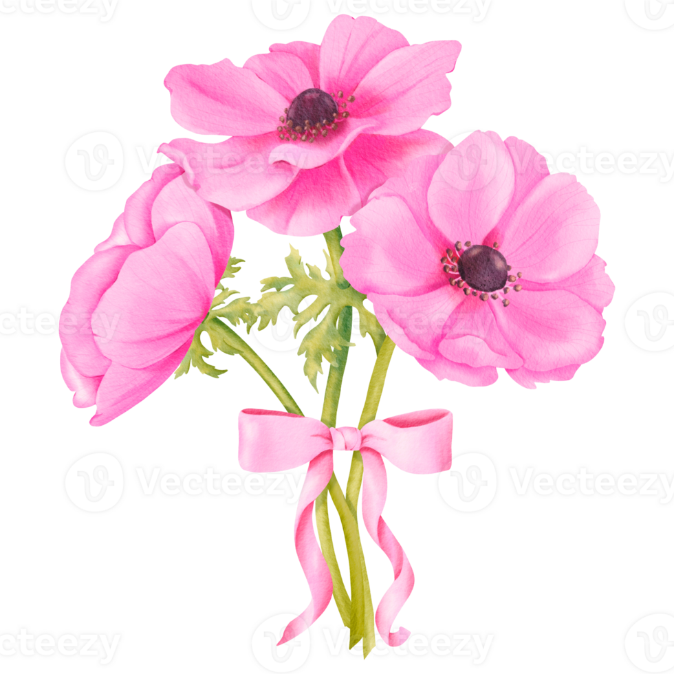 A bouquet of pink anemones adorned with a pink satin ribbon. watercolors for enhancing wedding invitations greeting cards floral-themed designs, digital backgrounds, art prints and decorative projects png
