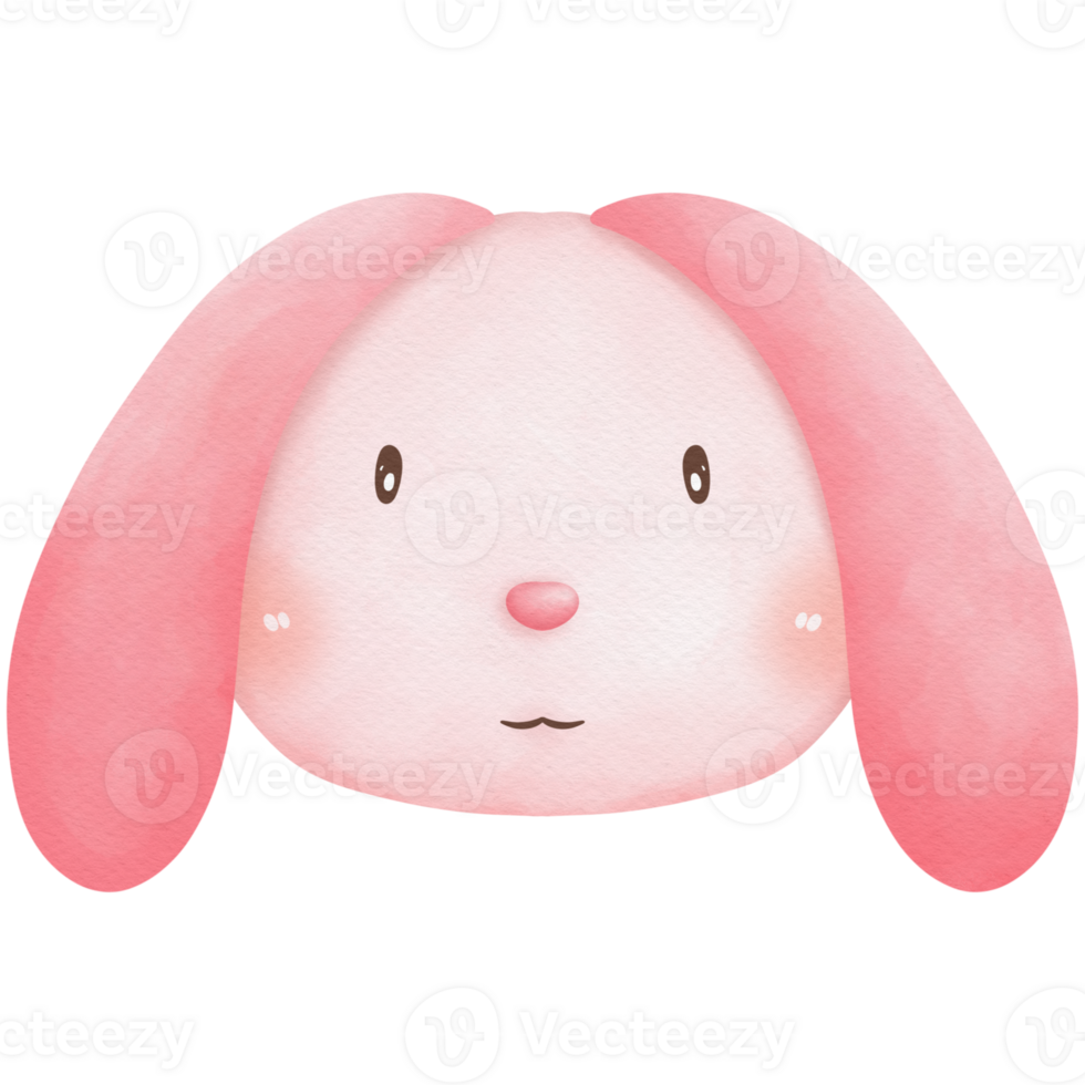 Rabbit watercolor so cute png