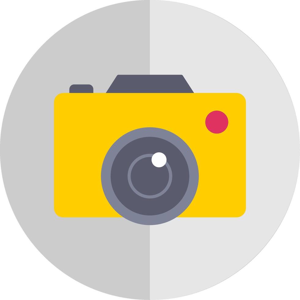 Digital Camera Flat Scale Icon vector