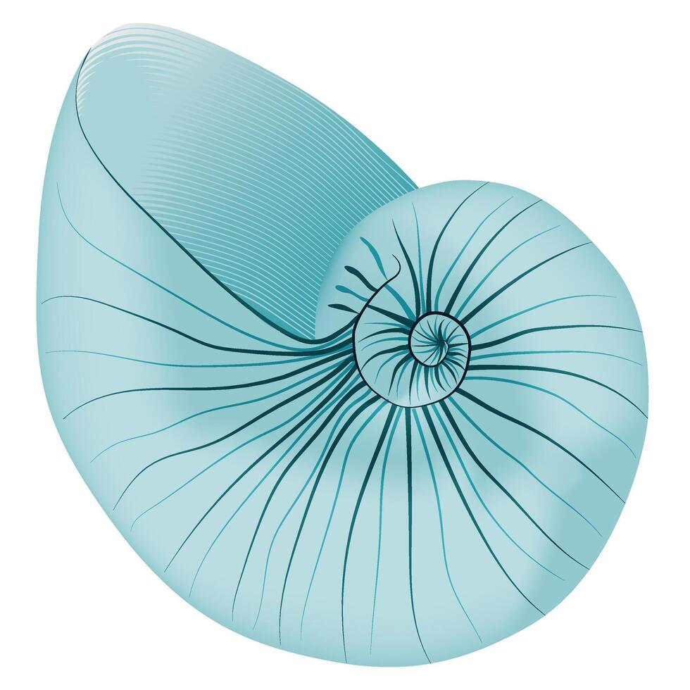 blue sea shell isolated vector