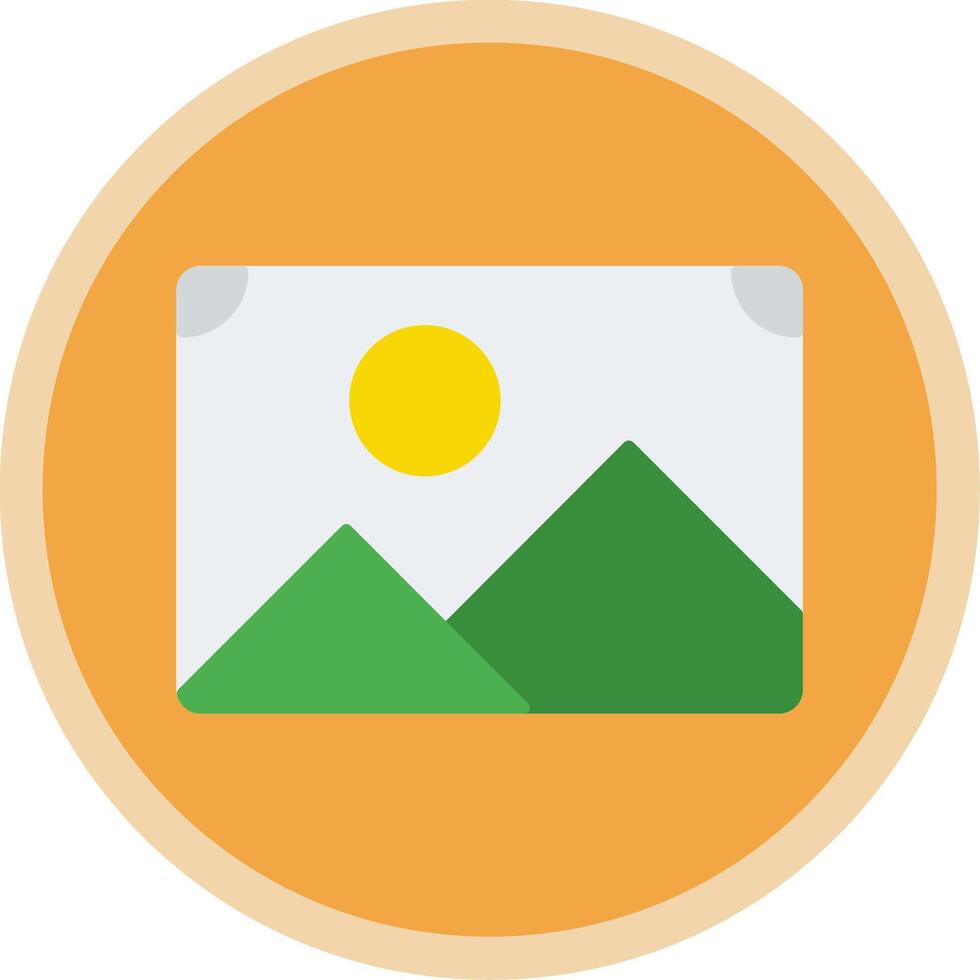 Photo Flat Multi Circle Icon vector