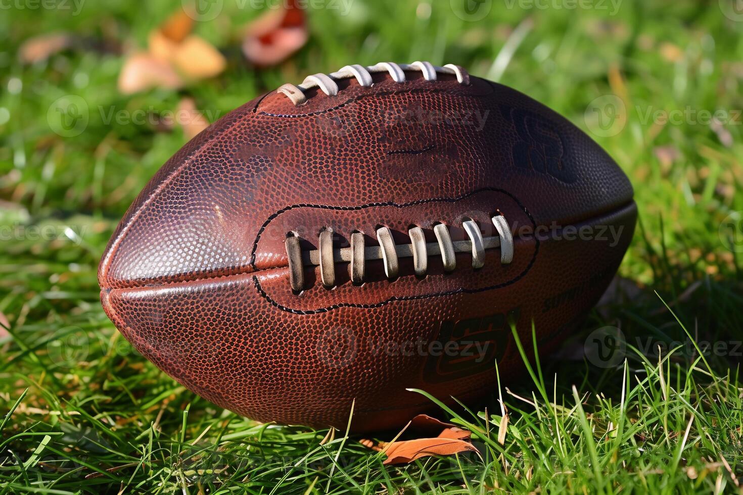 AI Generated 3d render of american football on the grass photo