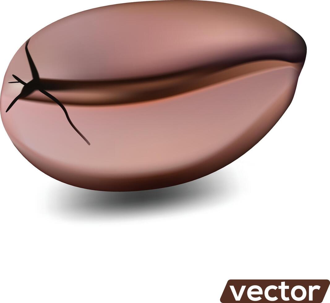 realistic illustration of coffee beans on white background. vector