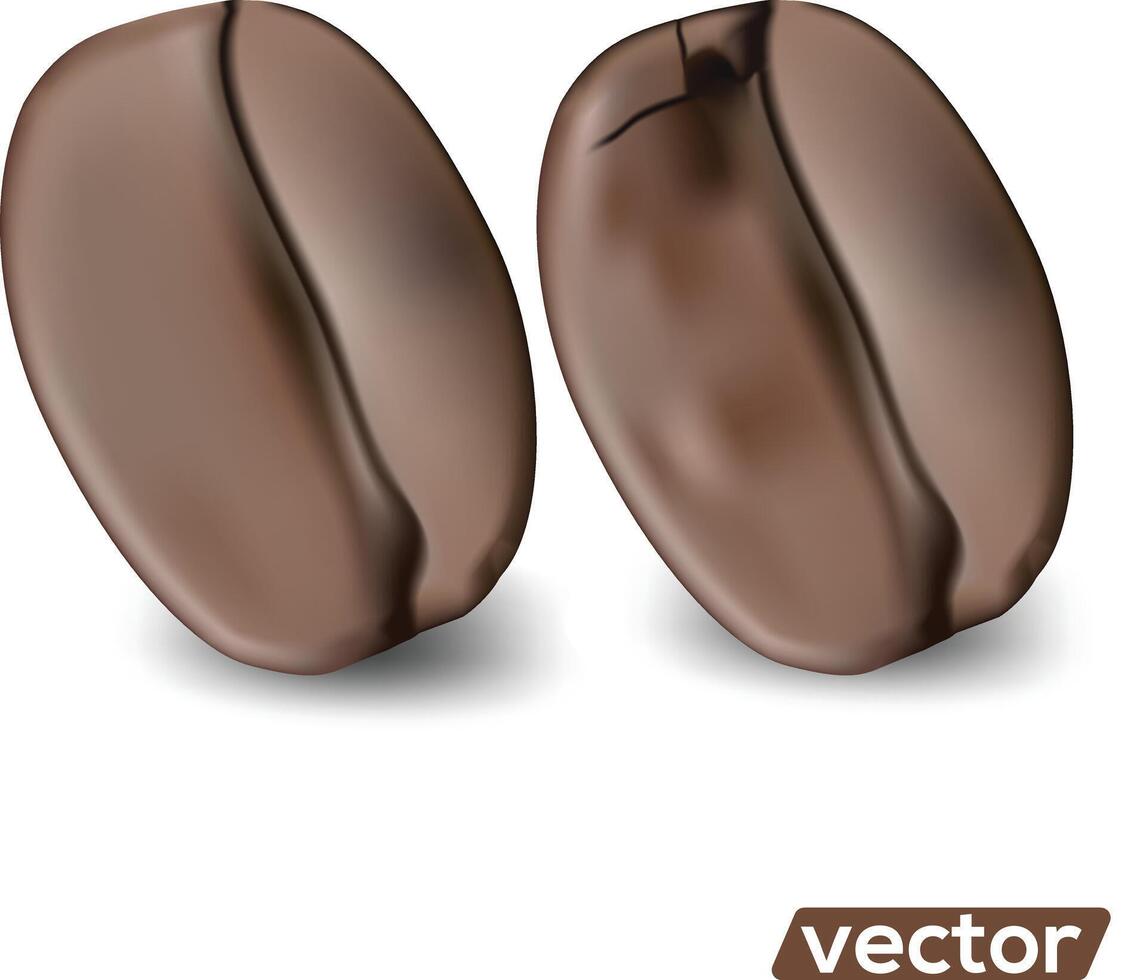 realistic illustration of coffee beans on white background. vector