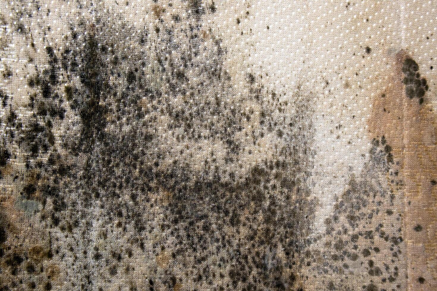 close up of danger black mold on bed sheet material photo