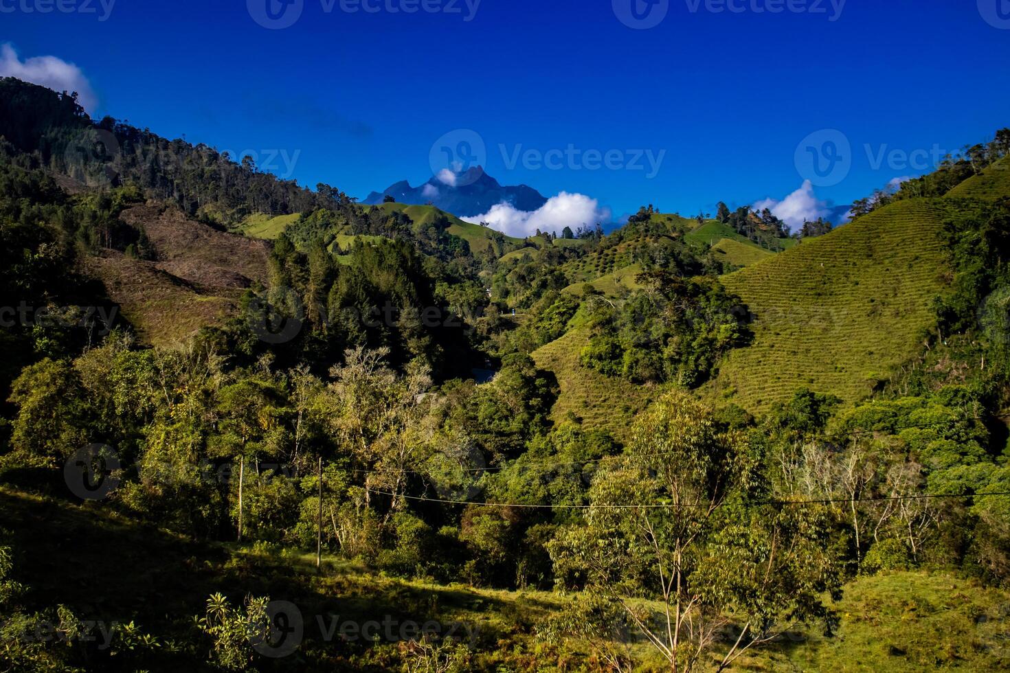 The amazing landscapes of the Central Ranges on the ascent to the High of Letters between the cities of Fresno and Manizales in Colombia photo