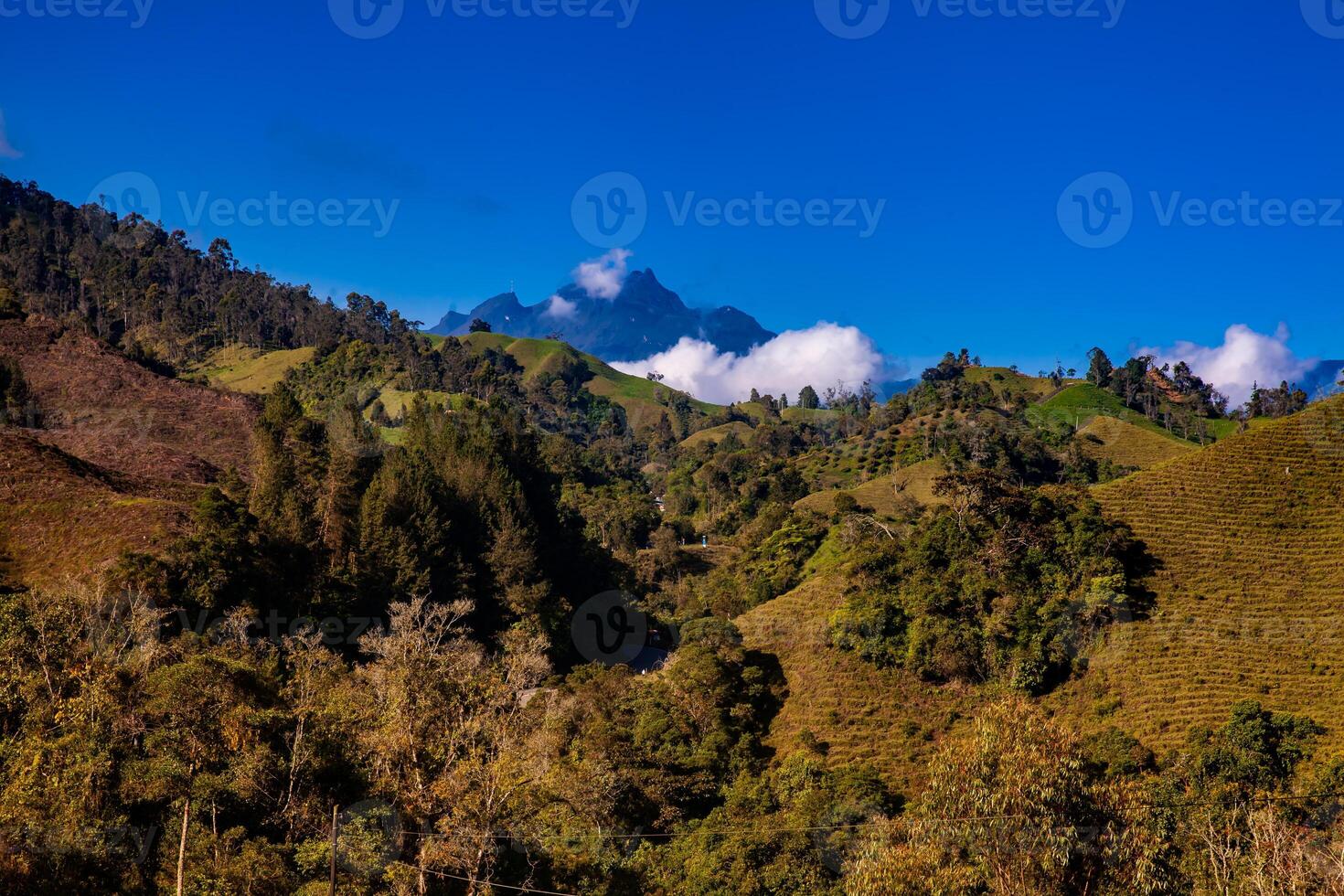 The amazing landscapes of the Central Ranges on the ascent to the High of Letters between the cities of Fresno and Manizales in Colombia photo