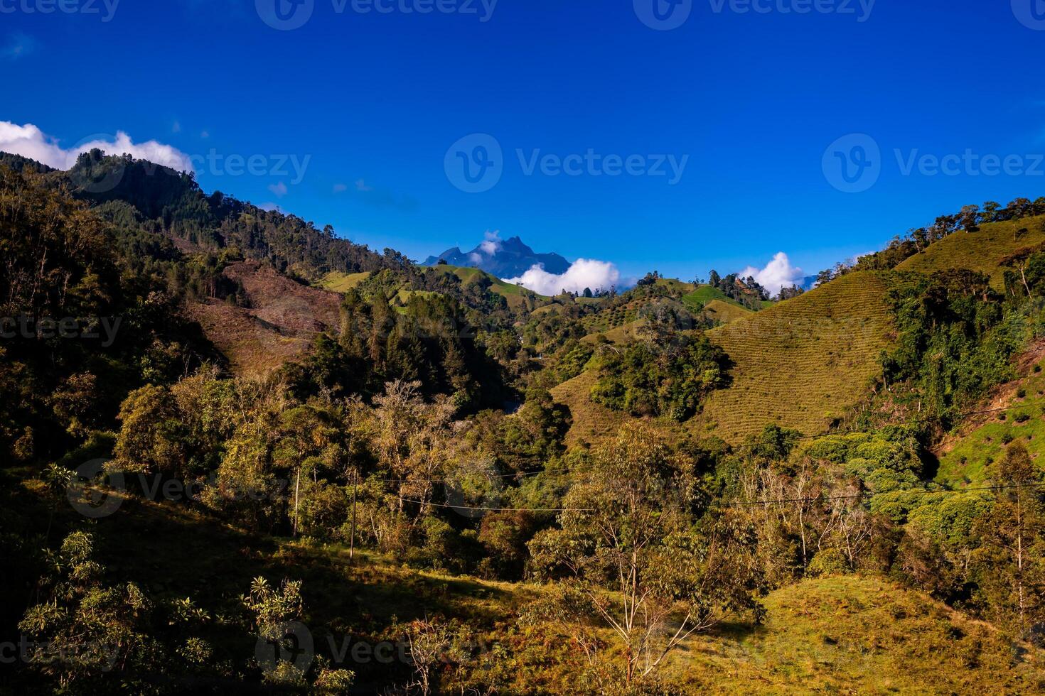 The amazing landscapes of the Central Ranges on the ascent to the High of Letters between the cities of Fresno and Manizales in Colombia photo