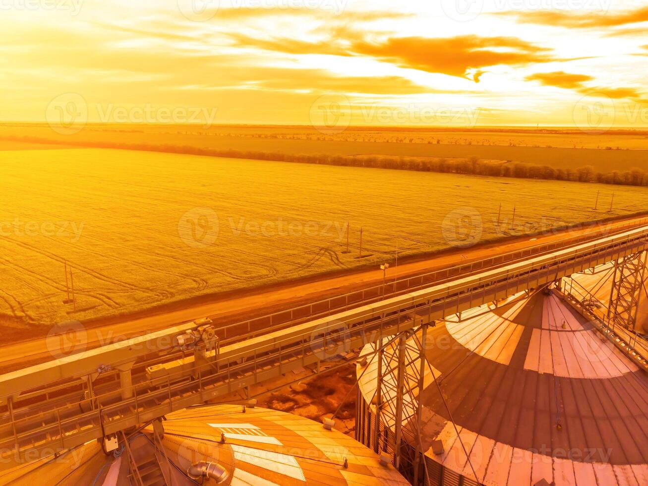 Grain silos on a green field background with warm sunset light. Grain elevator. Metal grain elevator in agricultural zone. Agriculture storage for harvest. Aerial view of agricultural factory. Nobody. photo