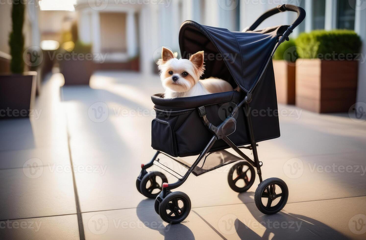 AI generated Portrait of cute small white yorkshire terrier dog sitting in pet stroller outdoor on walkway photo