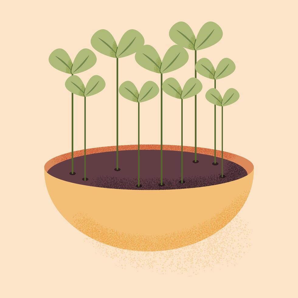 microgreens en un maceta. plano ilustración. coles de sano y orgánico alimento. vector