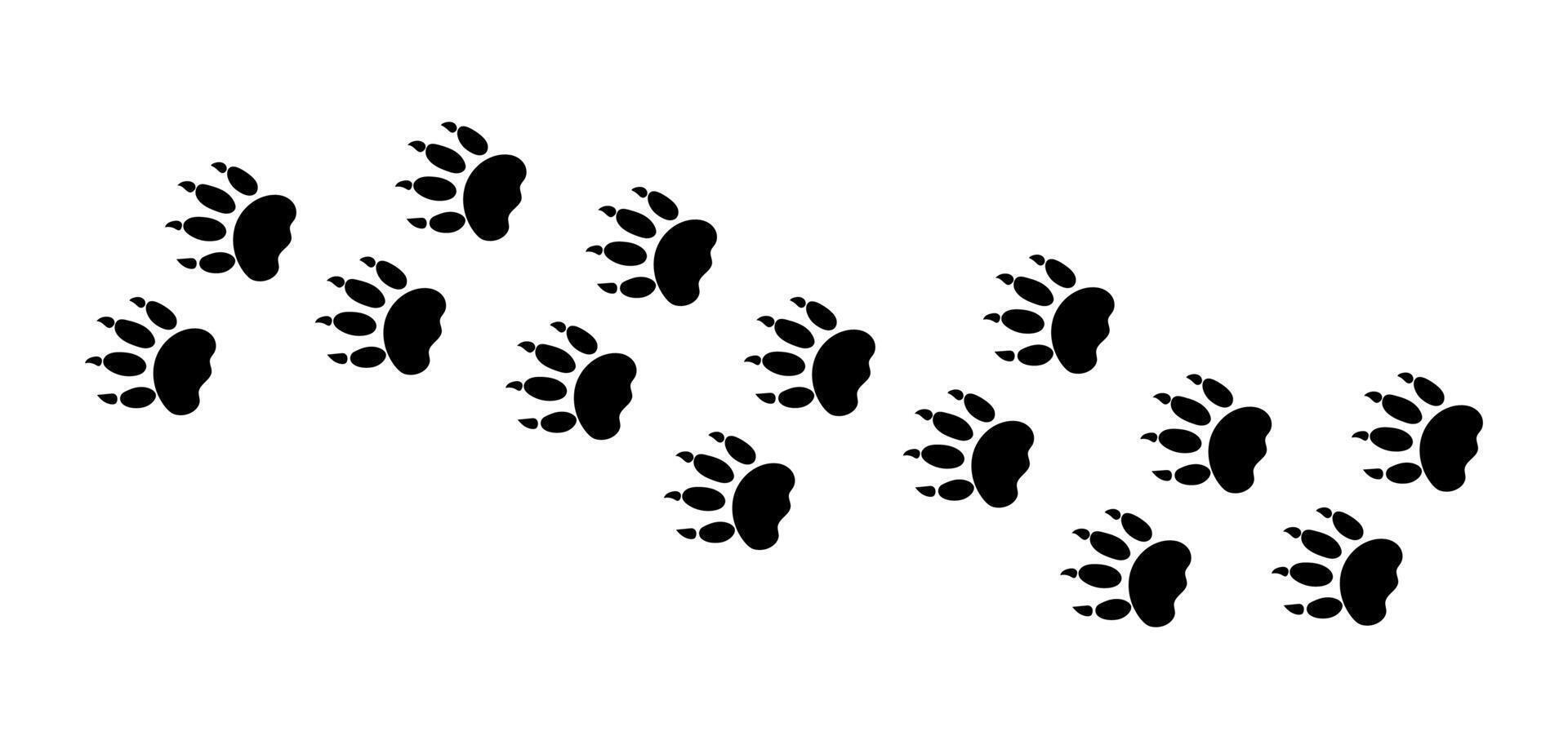 There are many traces of silhouettes of black paws of a wild tiger. illustration vector