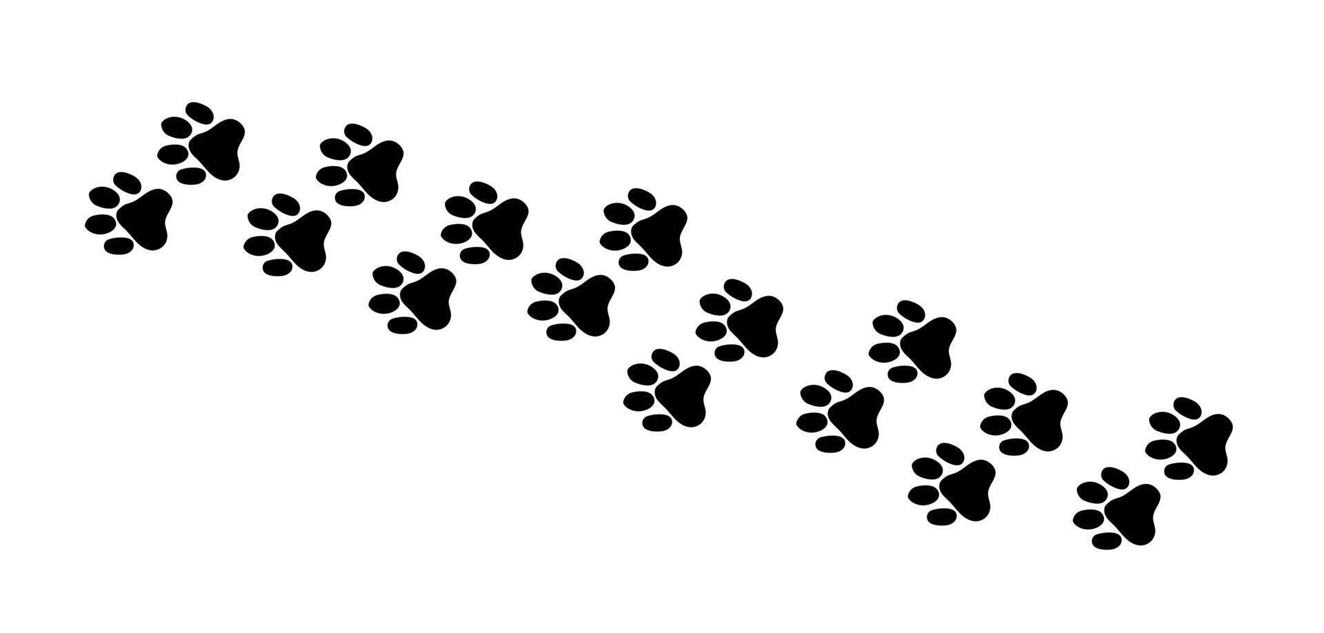 There are many traces of silhouettes of black paws of a wild animal - a cat. illustration vector