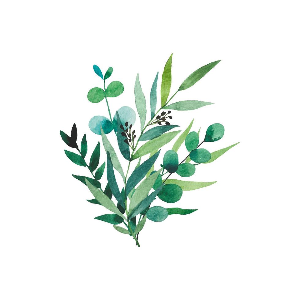 Bouquet of watercolor foliage. Eucalyptus branches. Hand drawn botanical illustration vector