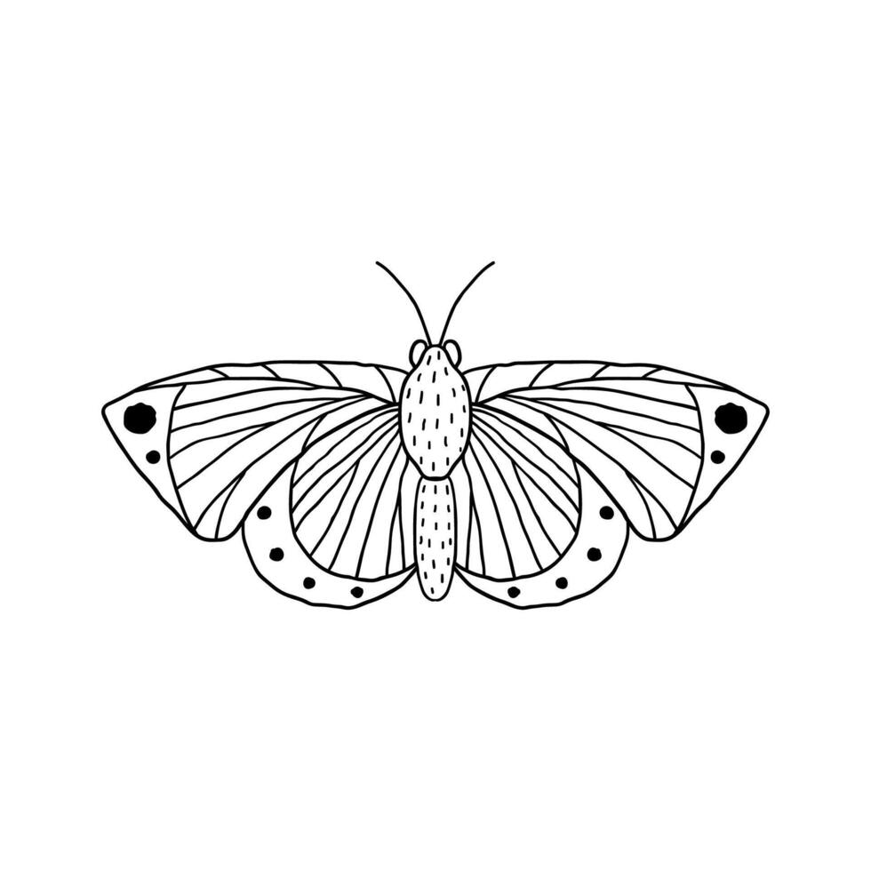 Butterfly in doodle style vector