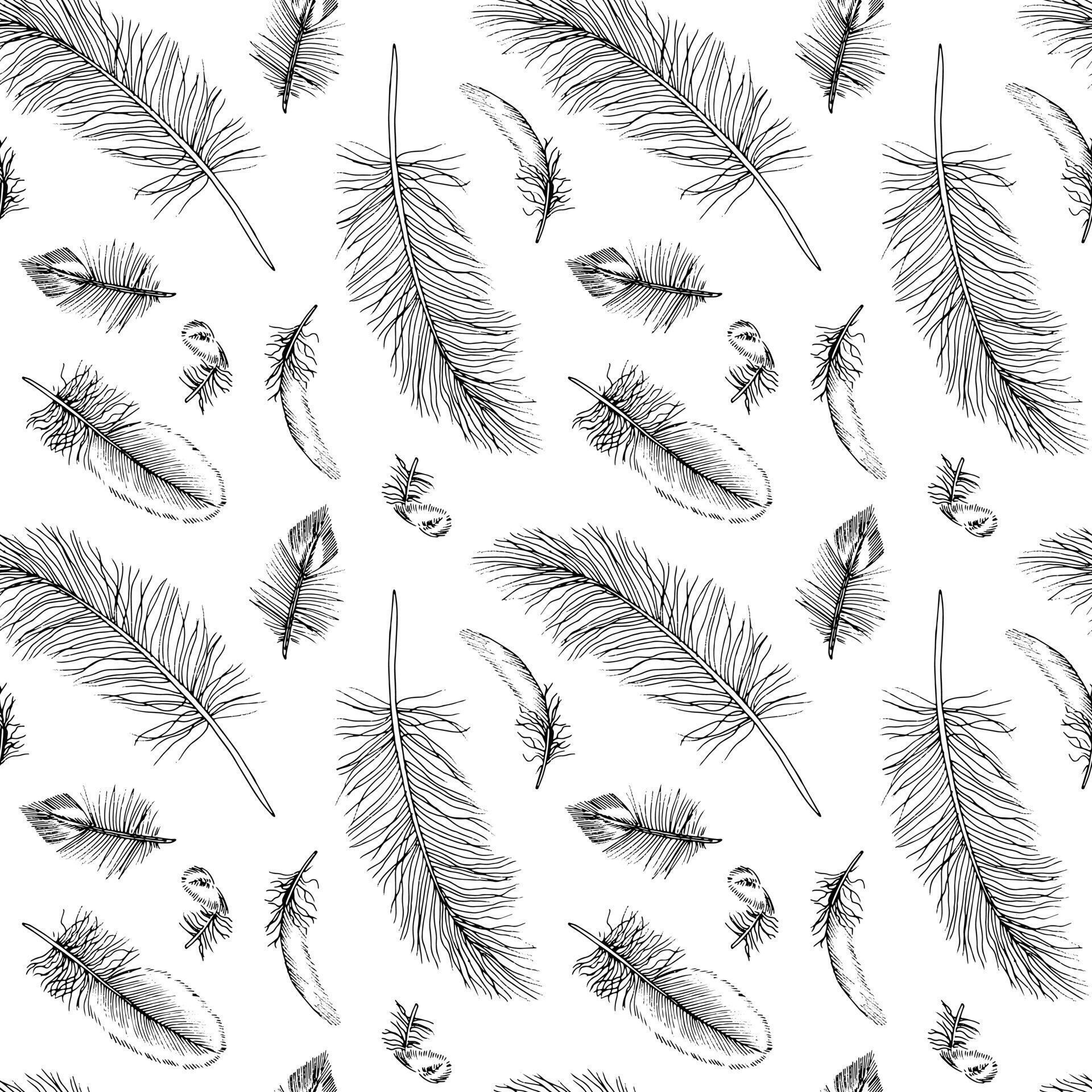 Feather seamless Pattern. Outline illustration of quills Background. Black and white line art of