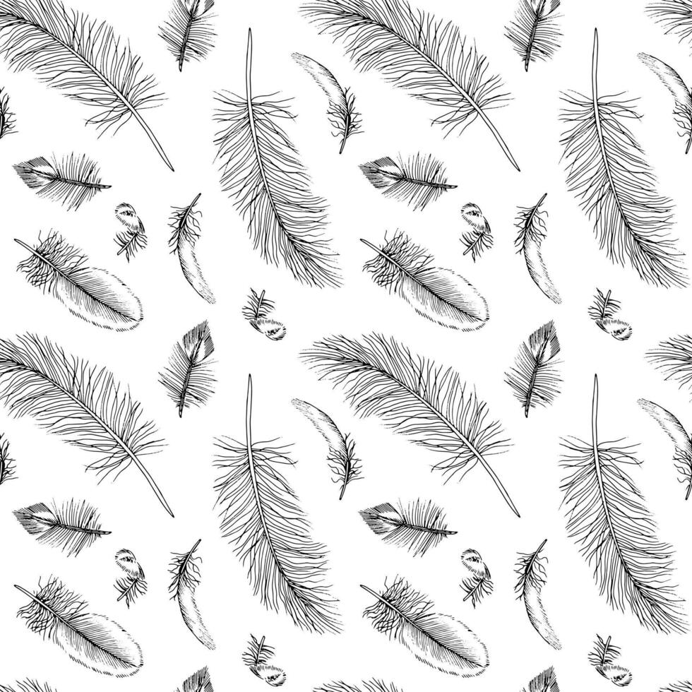 Feather seamless Pattern. Outline illustration of quills Background. Black and white line art of bird plumes. Hand drawn graphic sketch. Linear print drawing for fabric or paper design vector