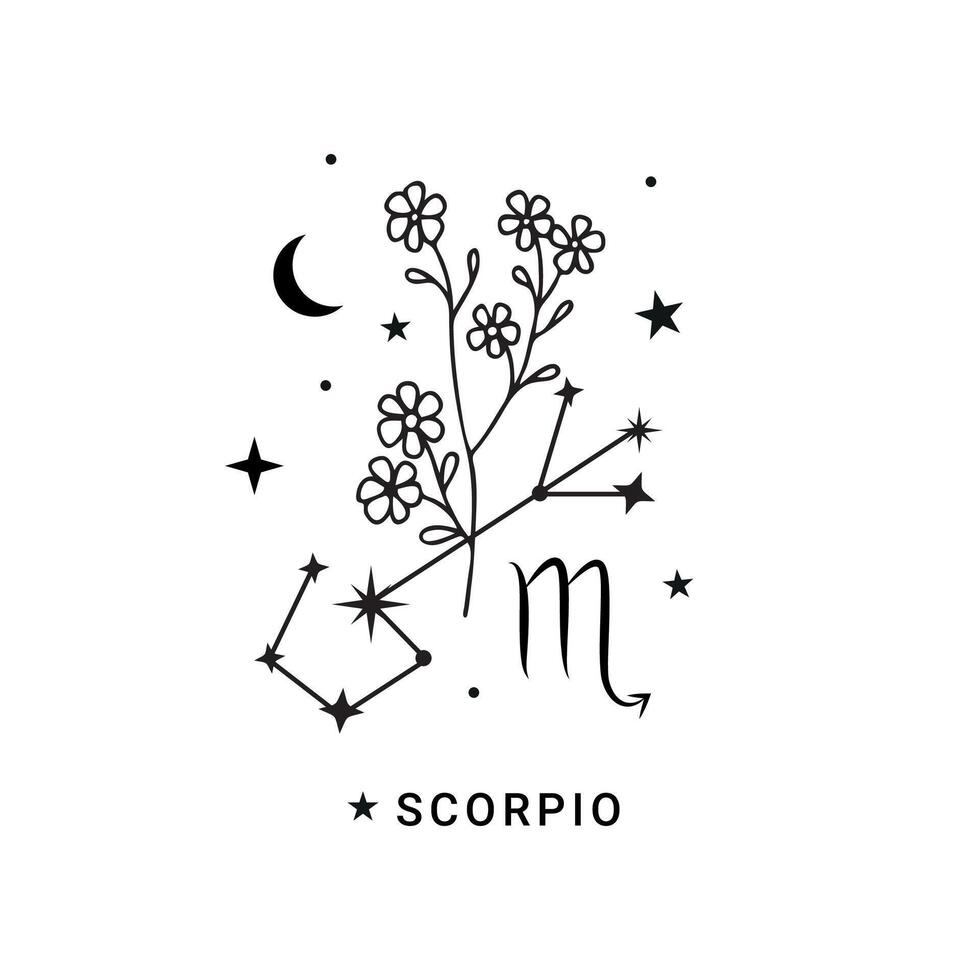 Scorpio zodiac sign with moon and stars vector