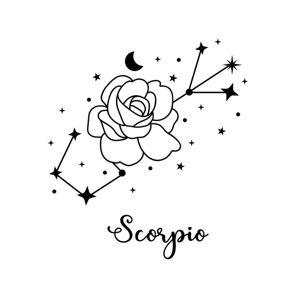 Scorpio zodiac sign with moon, flower and stars. Celestial constellation vector