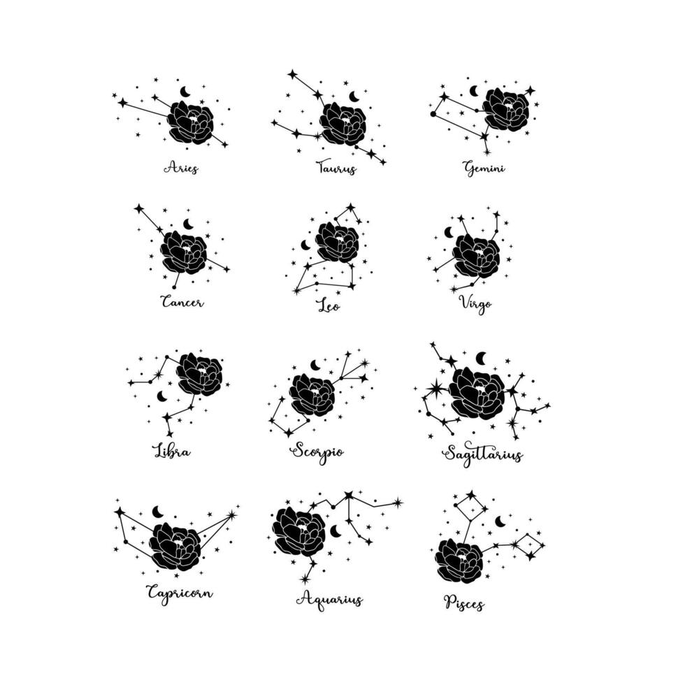 12 zodíaco constelación con Rosa silueta, Luna y estrellas vector