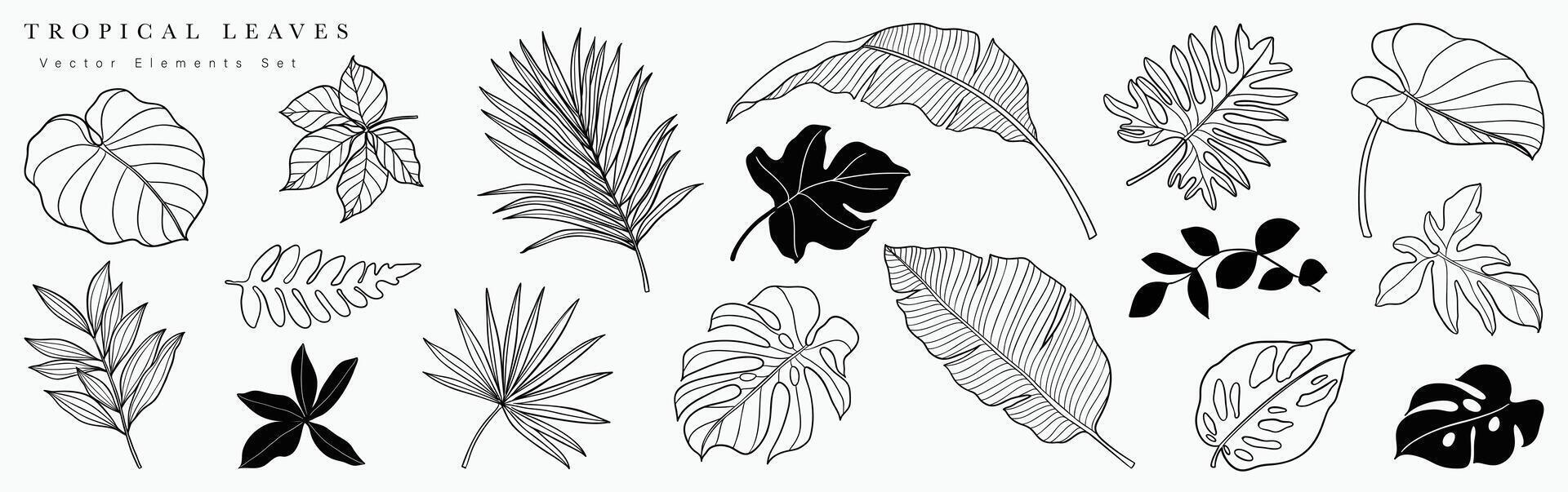 tropical hojas mano dibujado línea Arte y silueta colocar. colección de hoja rama, monstruo, palma hojas negro blanco dibujo contorno sencillo estilo. diseño ilustración para imprimir, logo, marca. vector