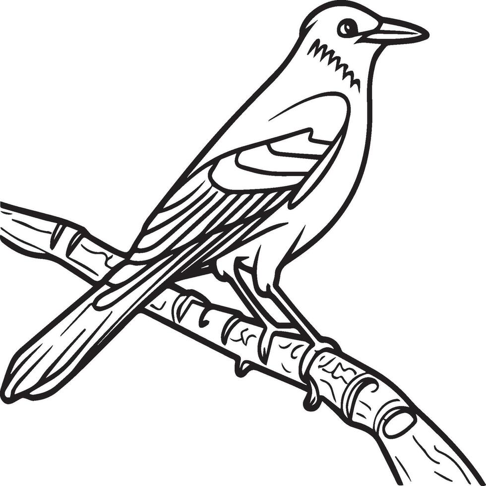 urraca volador pájaro para niños. colorante libro. pájaro ilustración. urraca colorante paginas vector