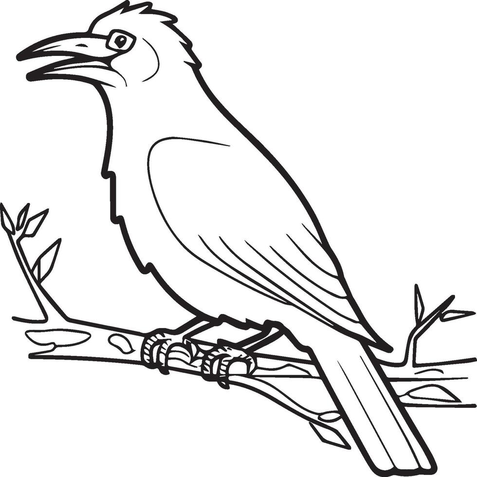 Crow coloring pages. Crow bird outline for coloring book vector