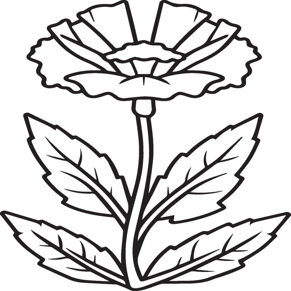 Carnation flower coloring pages. Carnation flower outline vector