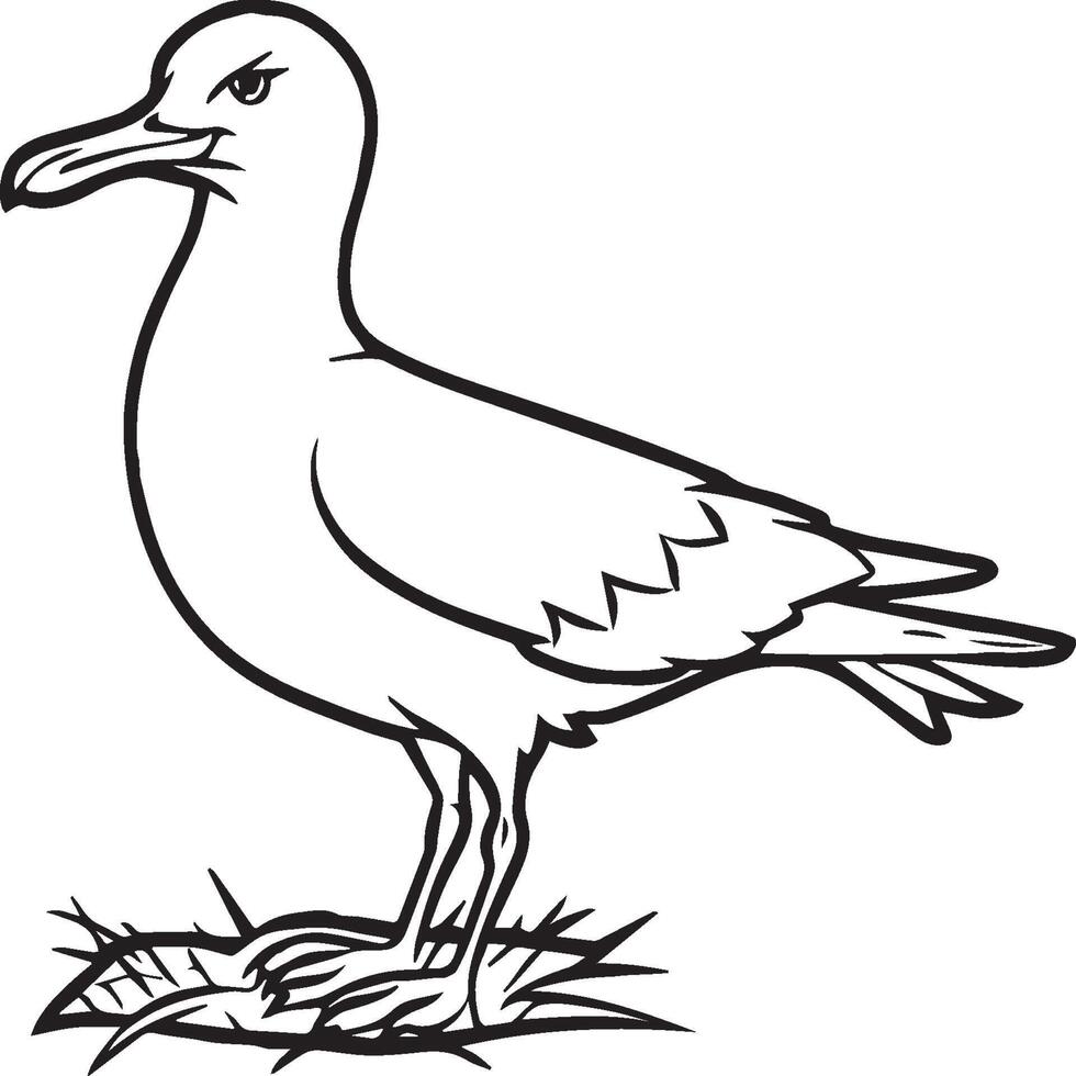 Seagull coloring pages. Seagull outline for coloring book vector