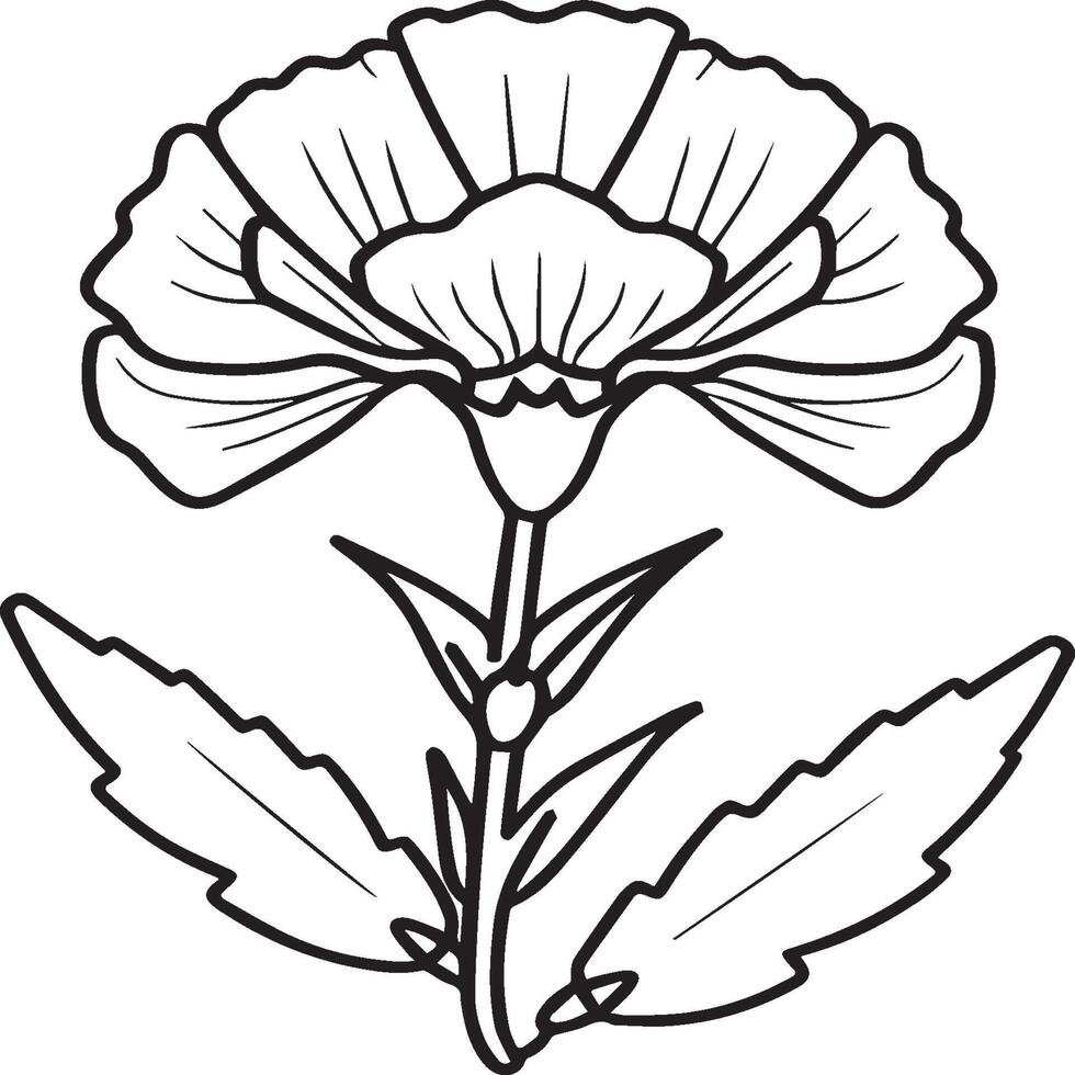 Carnation flower coloring pages. Carnation flower outline vector