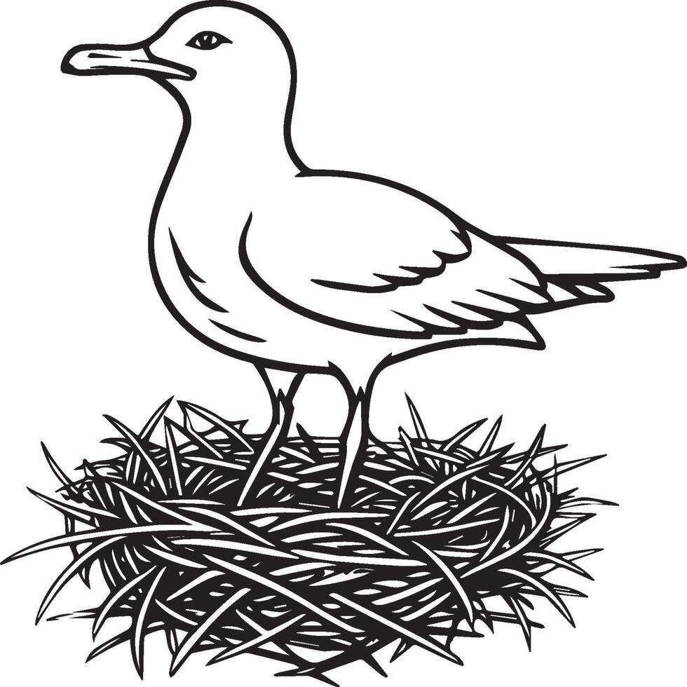 Seagull coloring pages. Seagull outline for coloring book vector