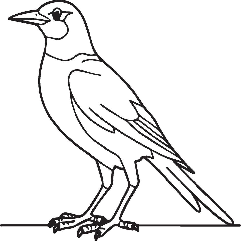 Magpie Flying Bird for children. Coloring book. Bird illustration. Magpie coloring pages vector