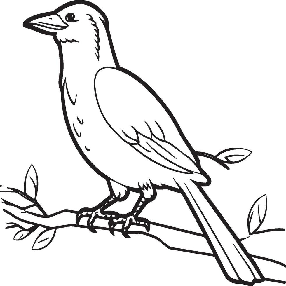 Crow coloring pages. Crow bird outline for coloring book vector