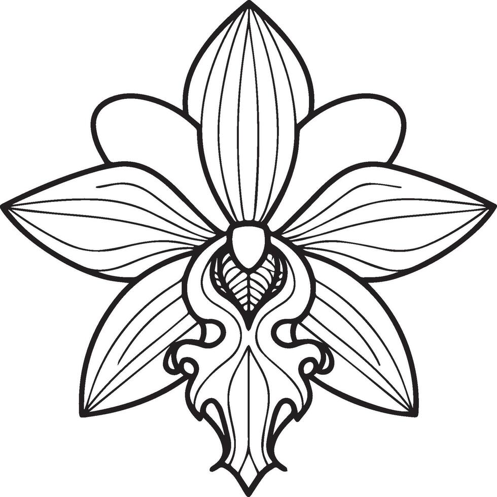 Orchid flower coloring pages. Orchid flower outline for coloring book vector