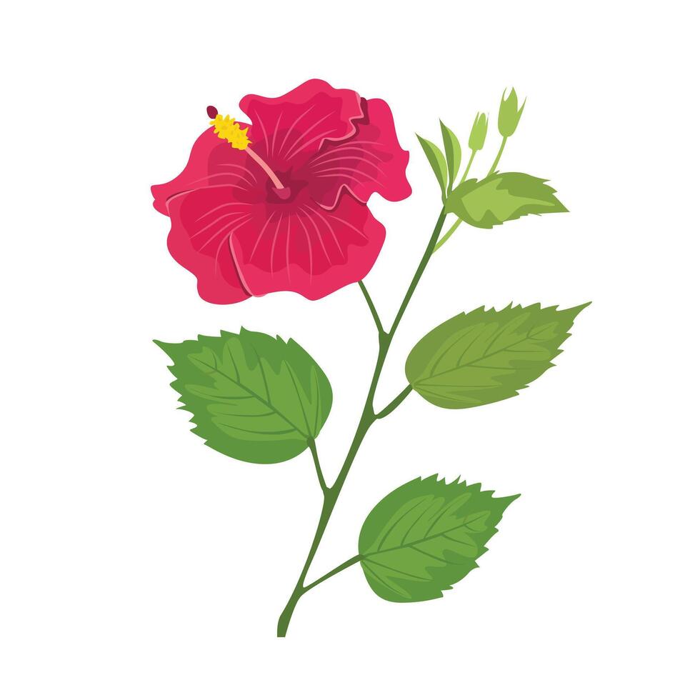 Hibiscus flower illustration. Hibiscus clip art. Exotic tropical flower. Summer flower flat in cartoon style isolated on white background. vector