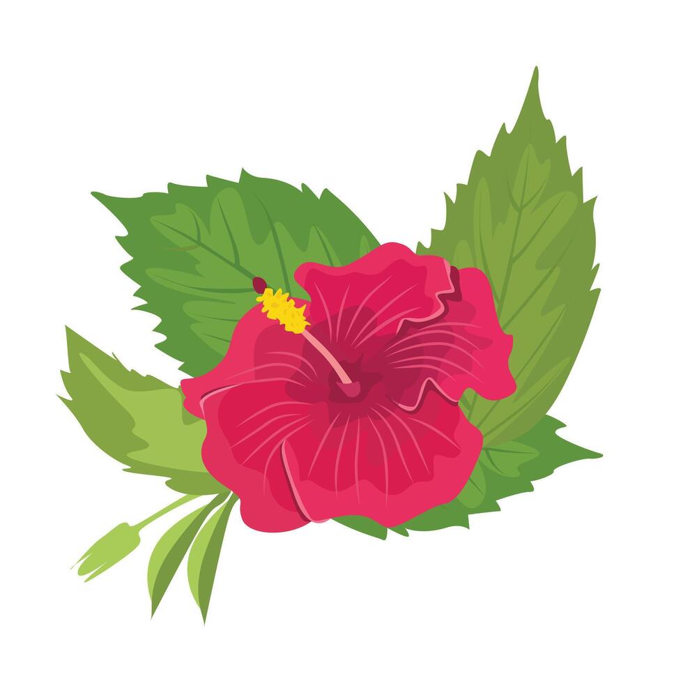 Hibiscus flower illustration. Hibiscus clip art. Exotic tropical flower. Summer flower flat in cartoon style isolated on white background. vector