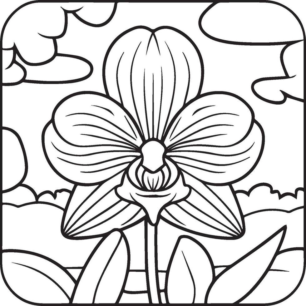 Orchid flower coloring pages. Orchid flower outline for coloring book vector