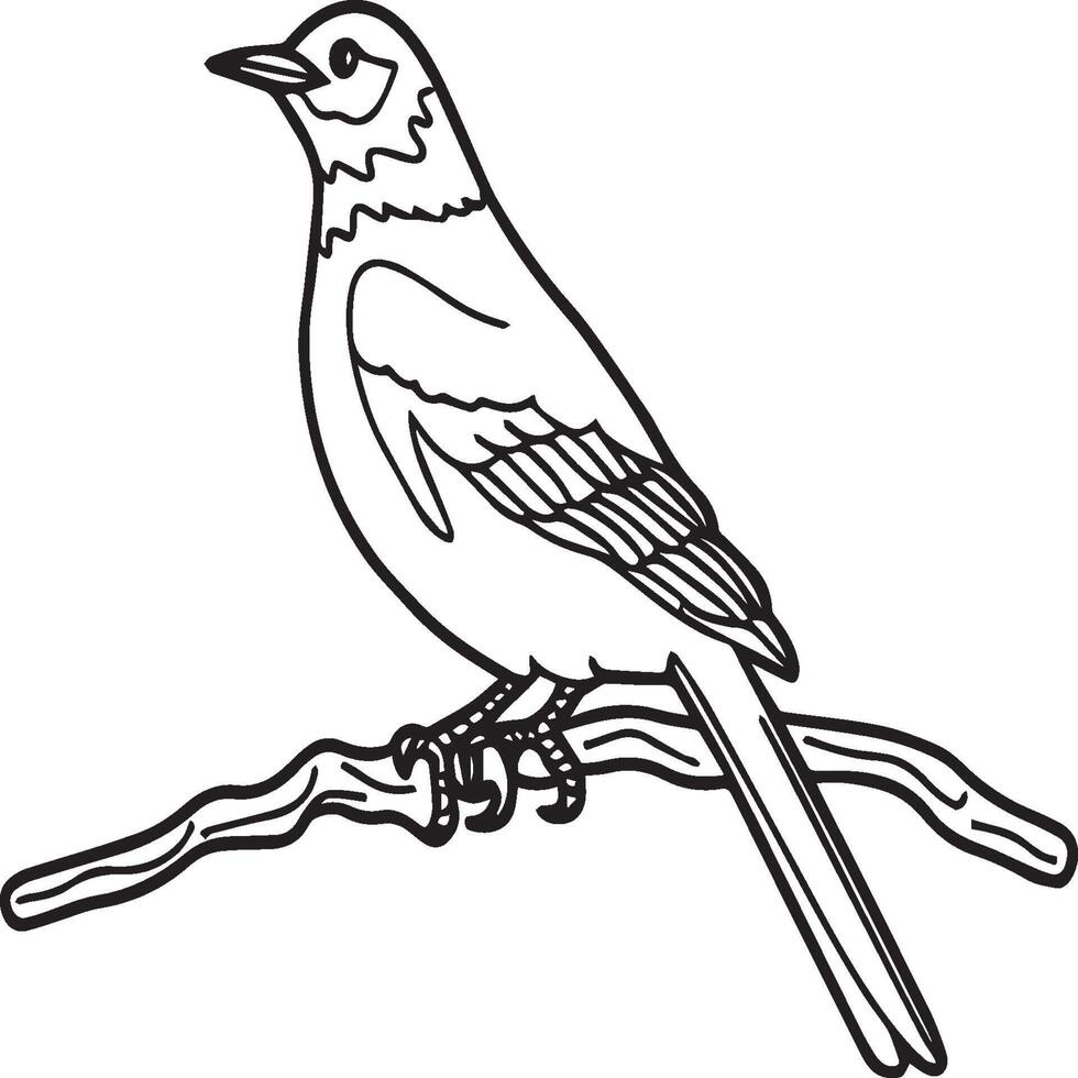 Magpie Flying Bird for children. Coloring book. Bird illustration. Magpie coloring pages vector