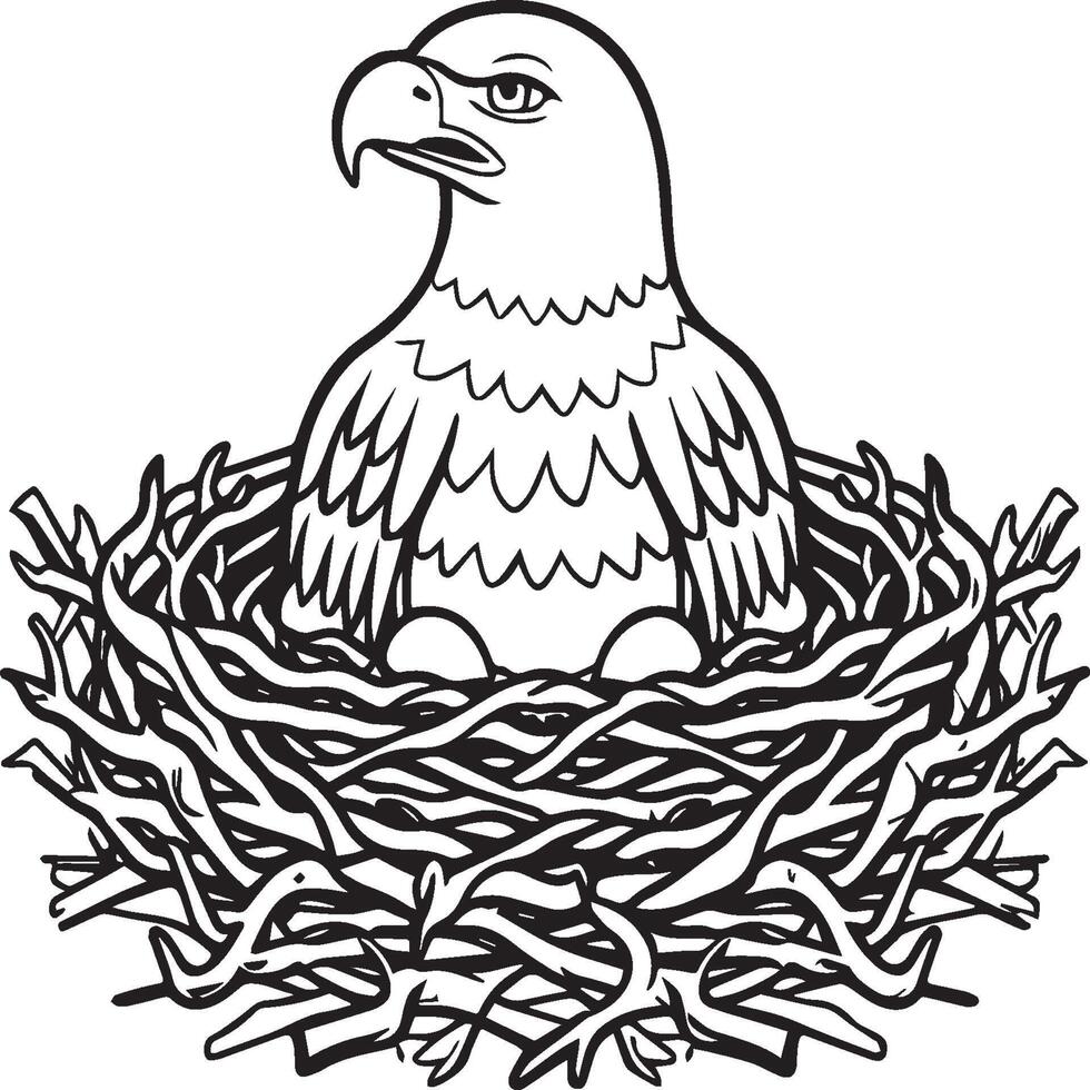 Eagle coloring pages. Eagle bird outline for coloring book vector