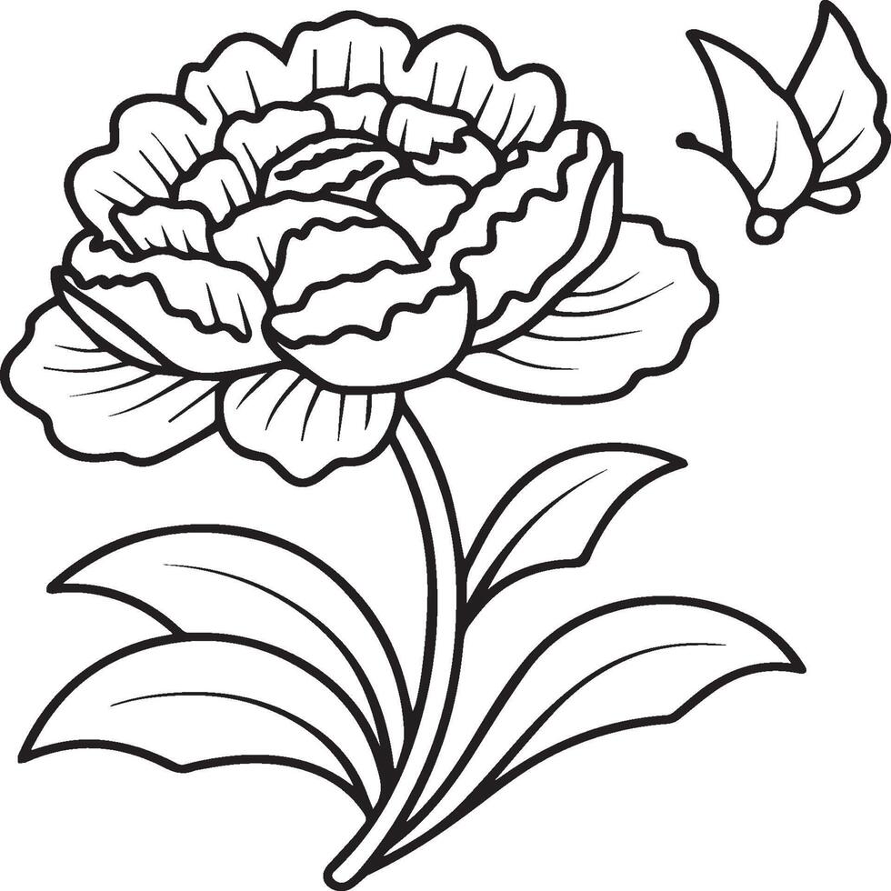 Peony coloring pages. Peony flower outline for coloring book vector