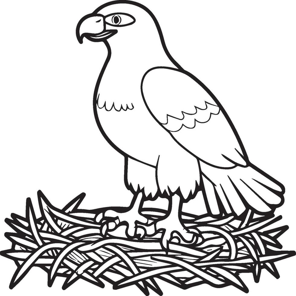 Eagle coloring pages. Eagle bird outline for coloring book vector