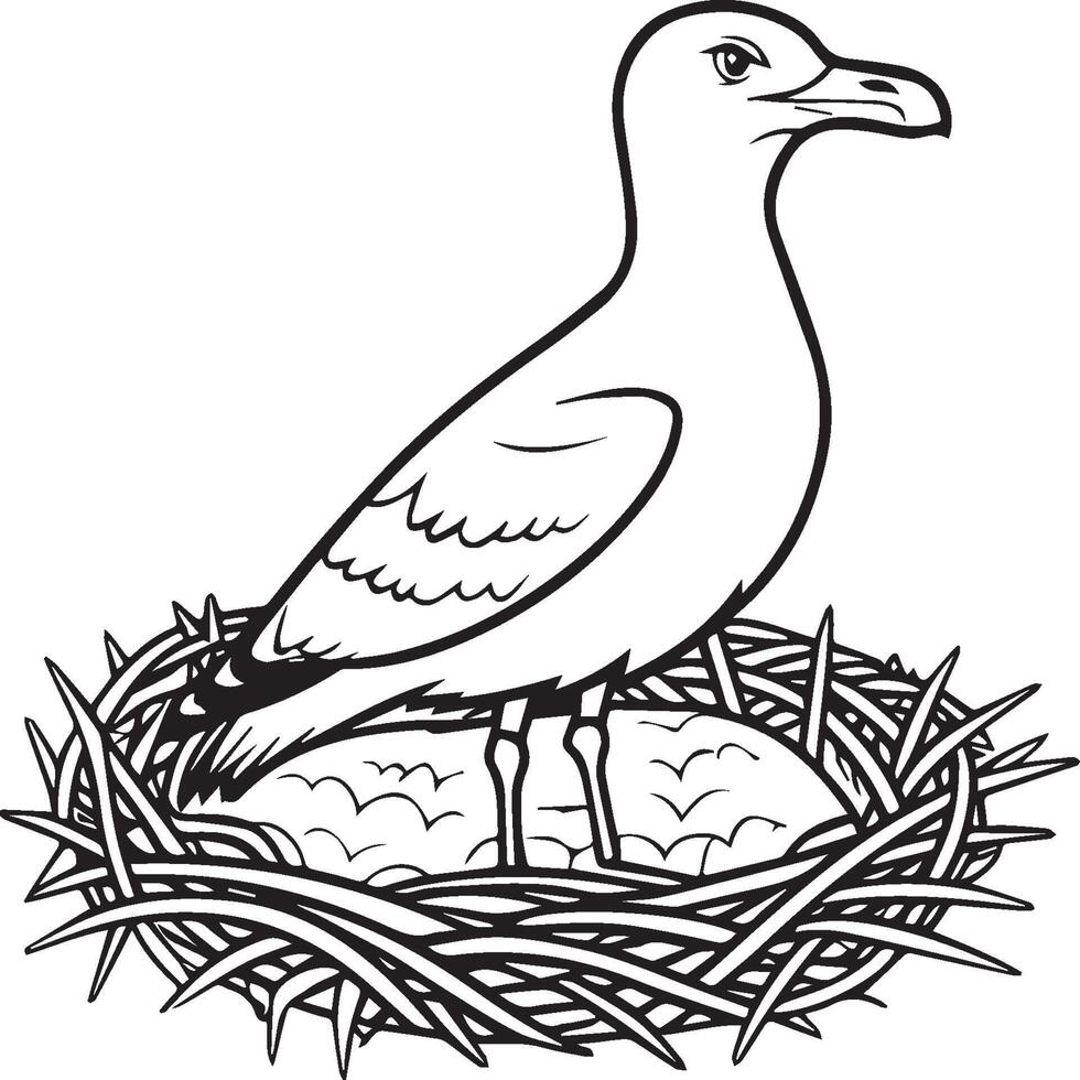 Seagull coloring pages. Seagull outline for coloring book vector