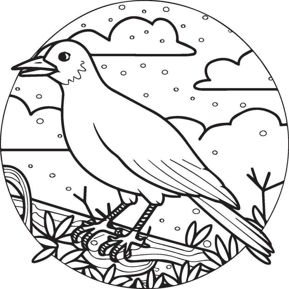 Crow coloring pages. Crow bird outline for coloring book vector