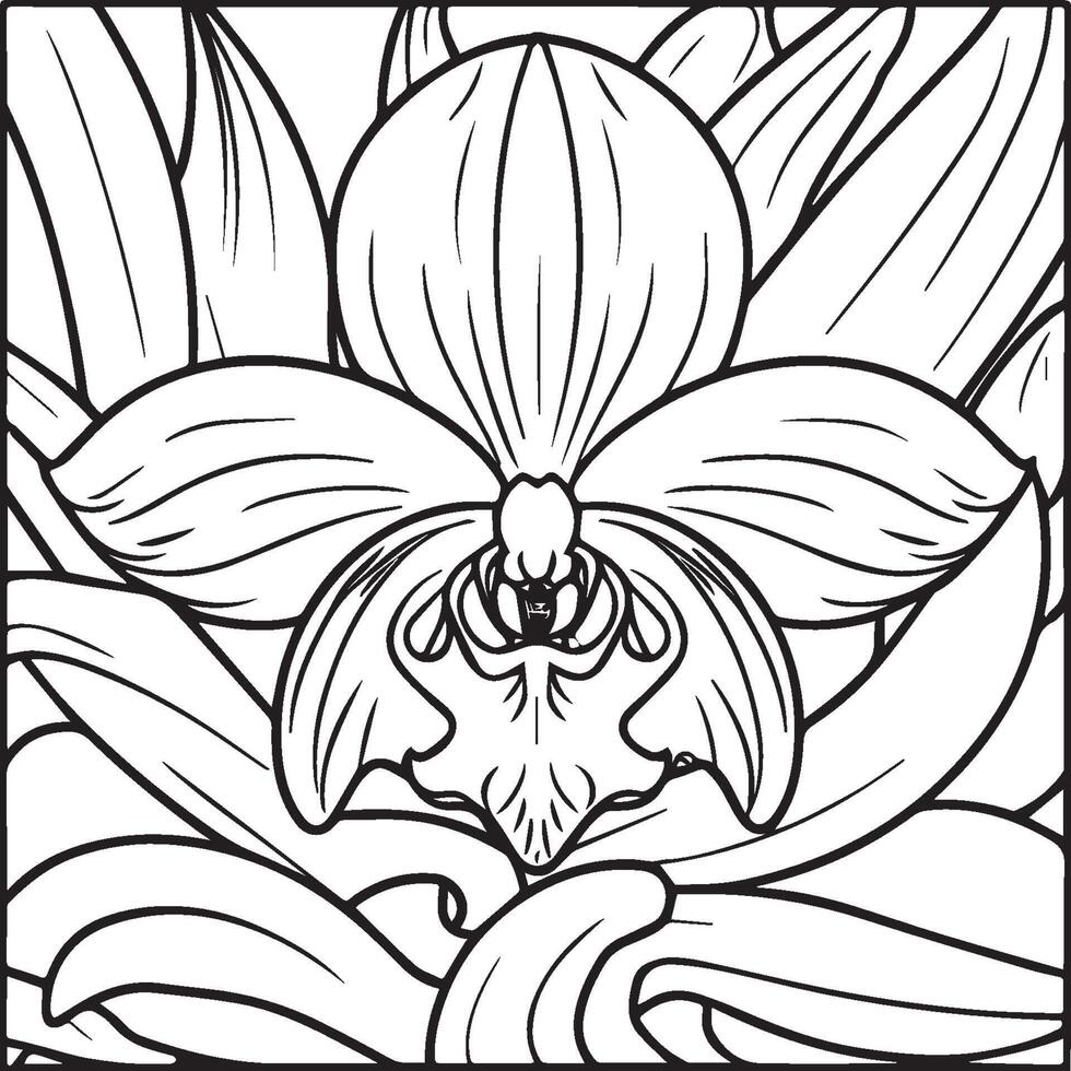 orquídea flor colorante paginas orquídea flor contorno para colorante libro vector