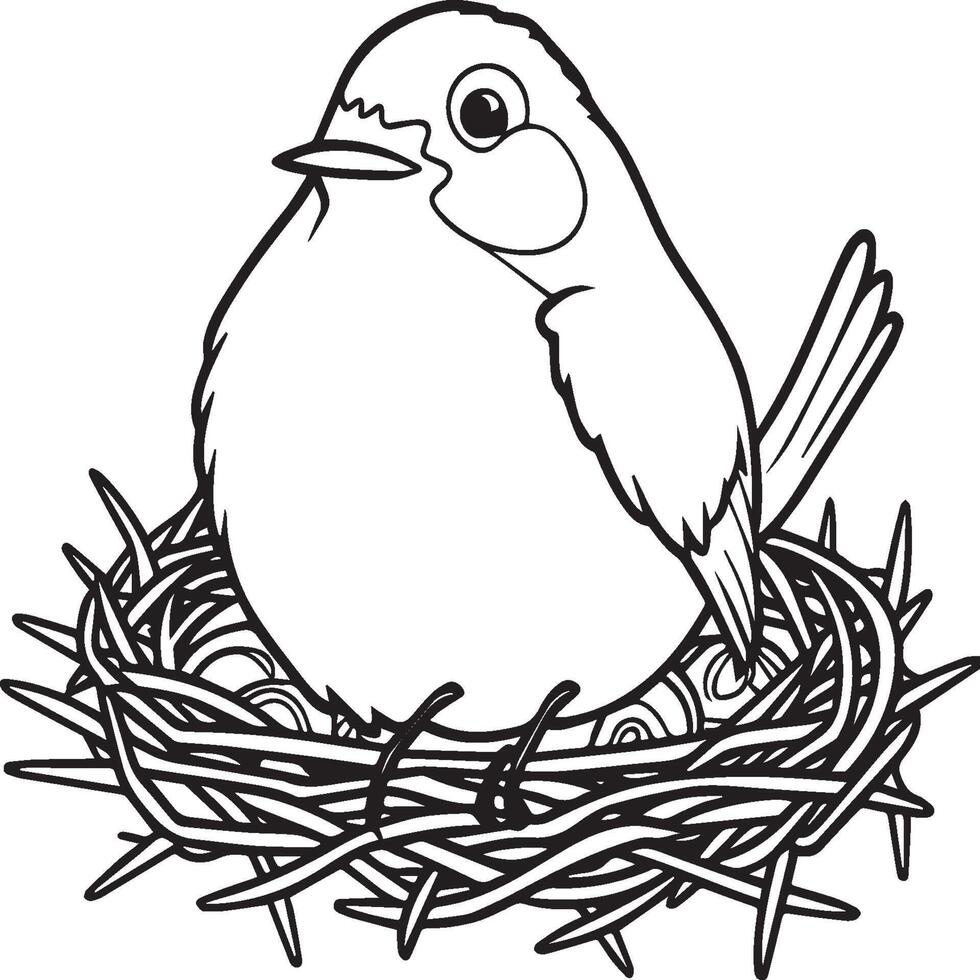 Robin coloring pages. Robin bird outline for coloring book vector