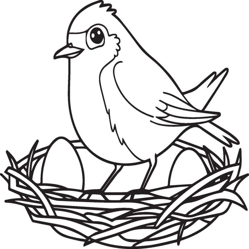 Robin coloring pages. Robin bird outline for coloring book vector